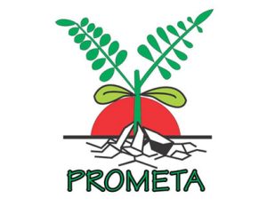 prometalogo